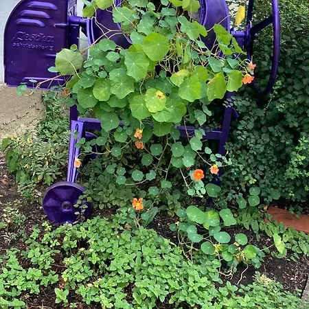 Hotel Aspire Kronprinz, Trademark Collection By Wyndham 4*